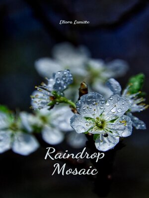 cover image of Raindrop Mosaic